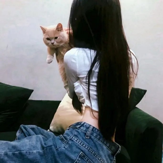 天宝伏妖录